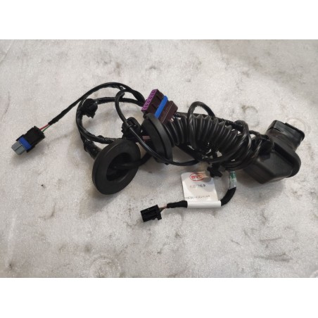 Faisceau de câblage de porte arrière droite - BYD - 15314741-00