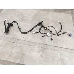 Faisceau de câblage de porte avant droite - BYD - 15314740-00