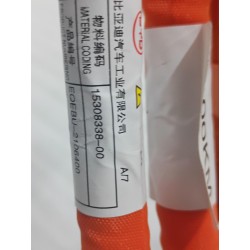 Sous-ensemble prise de charge véhicule AC/DC intégrée 2 - BYD - 15308338-00