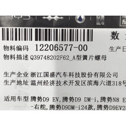 Écrou ressort type A - BYD - 12206577-00