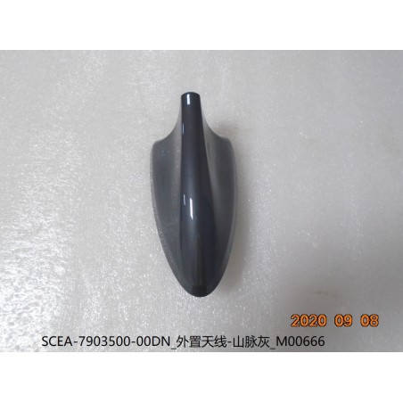 Antenne extérieure - Gris montagne - BYD - 12198953-00