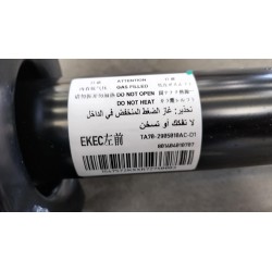 Jambe de suspension avant gauche - BYD - 15304140-00