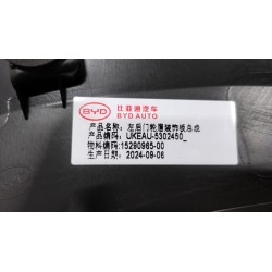 Garniture de passage de roue de porte arrière gauche - BYD - 15290965-00