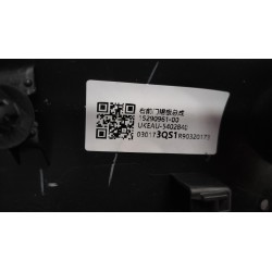 Panneau de jupe de porte avant droite - BYD - 15290961-00