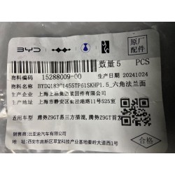 Boulon six pans - BYD - 15288009-00