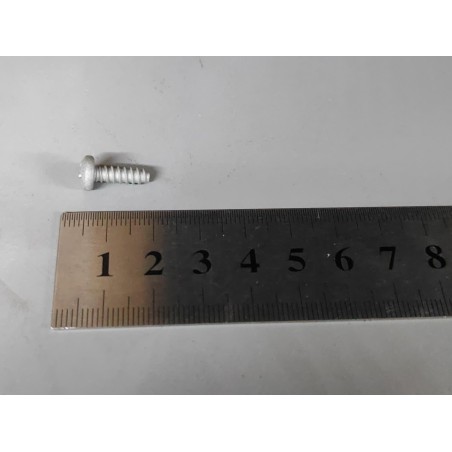 Vis autotaraudeuse cruciforme à tête cylindrique large - BYD - 12147477-00