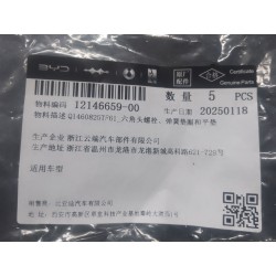 Boulon six pans, rondelle élastique et rondelle plate - BYD - 12146659-00