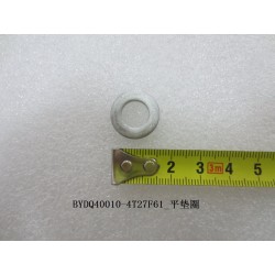 Rondelle plate - BYD - 12124788-00