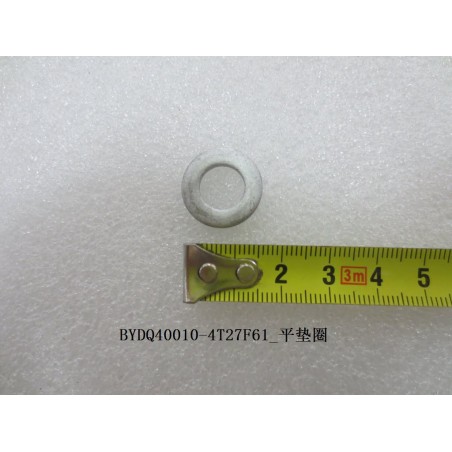 Rondelle plate - BYD - 12124788-00
