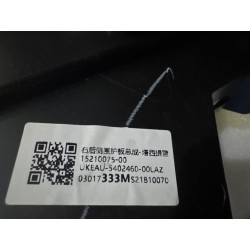 Panneau de clôture côté arrière droit - Bleu Tahiti - BYD - 15210075-00