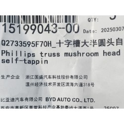 Vis autotaraudeuse - BYD - 15199043-00