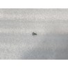 Vis autotaraudeuse - BYD - 15199043-00