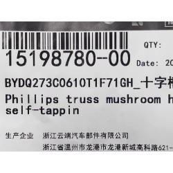 Vis autotaraudeuse - BYD - 15198780-00