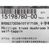 Vis autotaraudeuse - BYD - 15198780-00