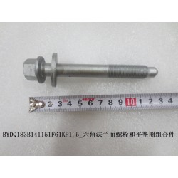 Boulon à embase six pans et rondelle plate - BYD - 12051704-00