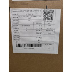 Assy Dossier de Siège Arrière Gauche-Bleu Tahiti - BYD - 15177846-00