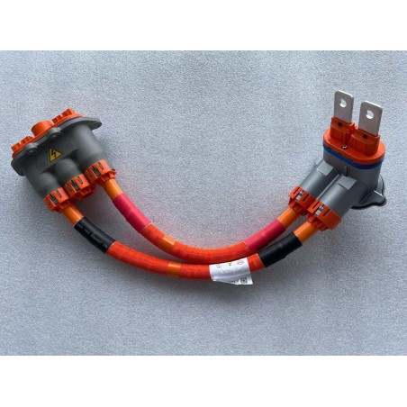 Faisceau de distribution haute tension - BYD - 15153767-00