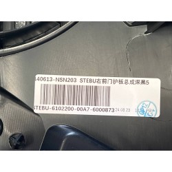 Protection de porte avant droite - noir foncé 5 - BYD - 15086876-00