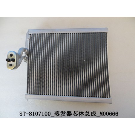 Corps d'évaporateur - BYD - 12000046-00