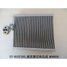 Corps d'évaporateur - BYD - 12000046-00