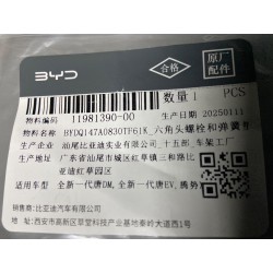 Boulon six pans et rondelle élastique - BYD - 11981390-00