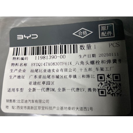 Boulon six pans et rondelle élastique - BYD - 11981390-00