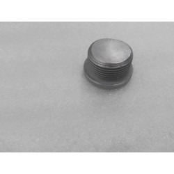 Bouchon fileté à tête étoile hexagonale - BYD - 15017468-00