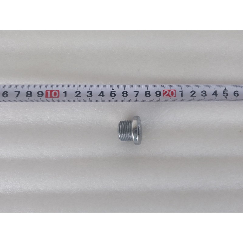 Bouchon fileté hexagonal - BYD - 15017467-00