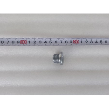 Bouchon fileté hexagonal - BYD - 15017467-00