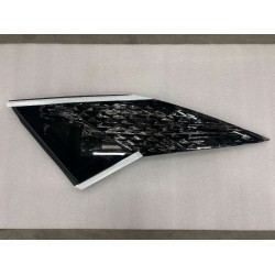 Vitre de la paroi latérale arrière gauche - BYD - 14978647-00