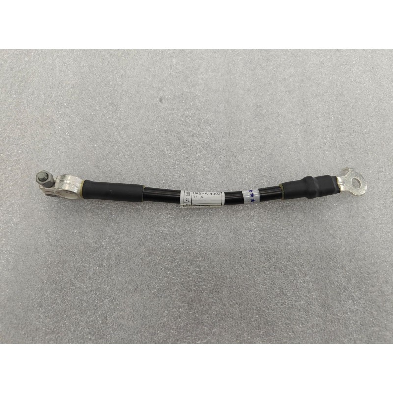 Faisceau de câblage négatif batterie 12 V I - BYD - 14948578-00