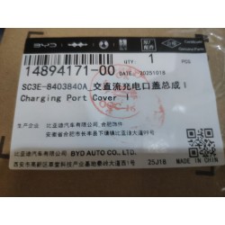 Couvercle du Port de Charge Ⅰ - BYD - 14894171-00