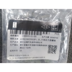 Q1841065TF61HP1. Boulon à tête hexagonale avec bride de 25 - BYD - 14889515-00