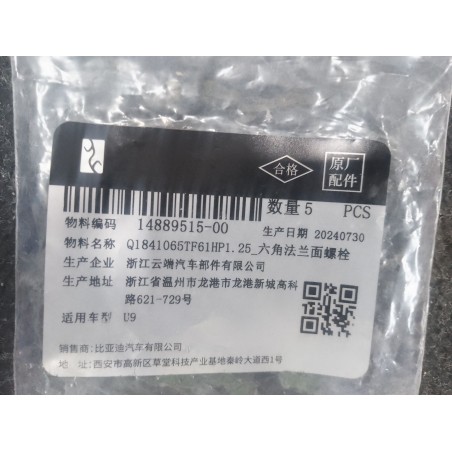 Q1841065TF61HP1. Boulon à tête hexagonale avec bride de 25 - BYD - 14889515-00