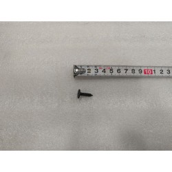 Vis autotaraudeuse à tête cylindrique cruciforme - BYD - 11816293-00
