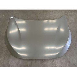 Capot - BYD - 14846424-00