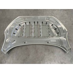Capot - BYD - 14846424-00
