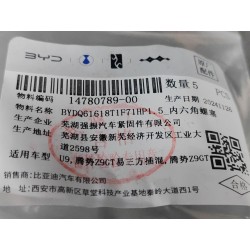 Bouchon à vis hexagonale - BYD - 14780789-00