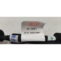 Faisceau de porte arrière Ⅰ - BYD - 14774068-00