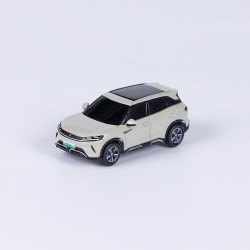 Modèle de véhicule - BYD - 14772599-00