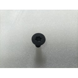 Vis à tête fraisée à empreinte Torx - BYD - 11769805-00