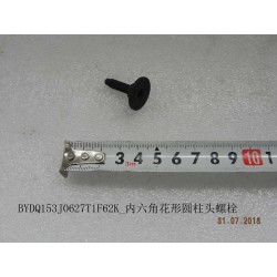 Vis à tête six pans creux - BYD - 11755649-00