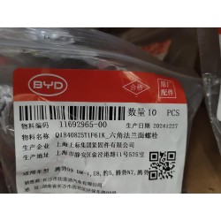 Boulon à embase six pans - BYD - 11692965-00