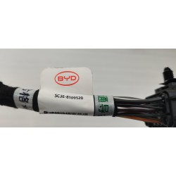 Faisceau de câblage de module intégré - BYD - 14729644-00