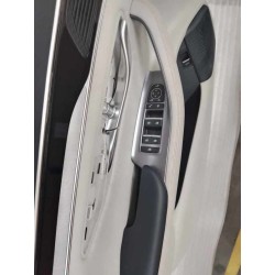 Protection de la portière avant gauche - Bleu - BYD - 14698168-00