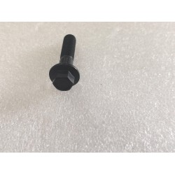 Boulon à bride hexagonale - BYD - 14614485-00