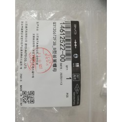 Écrou à ressort lame type B - BYD - 14612522-00