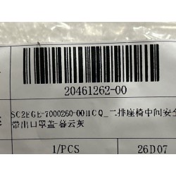 Couvercle de sortie de ceinture de sécurité centrale de siège 2e rang-Gris HCQ - BYD - 20461262-00