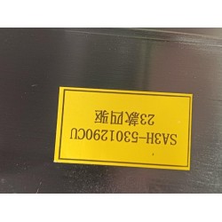Module frontal - BYD - 14598598-00