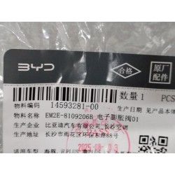 Détendeur électronique 01 - BYD - 14593281-00